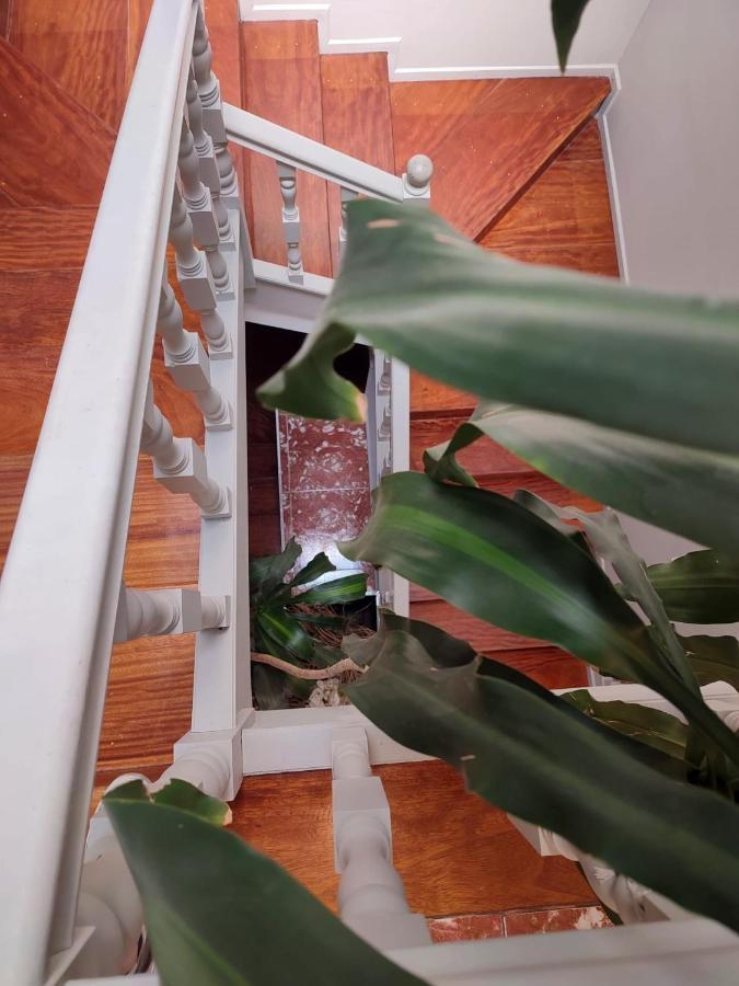 גימראייש Vila Hotel By Vimahotels מראה חיצוני תמונה